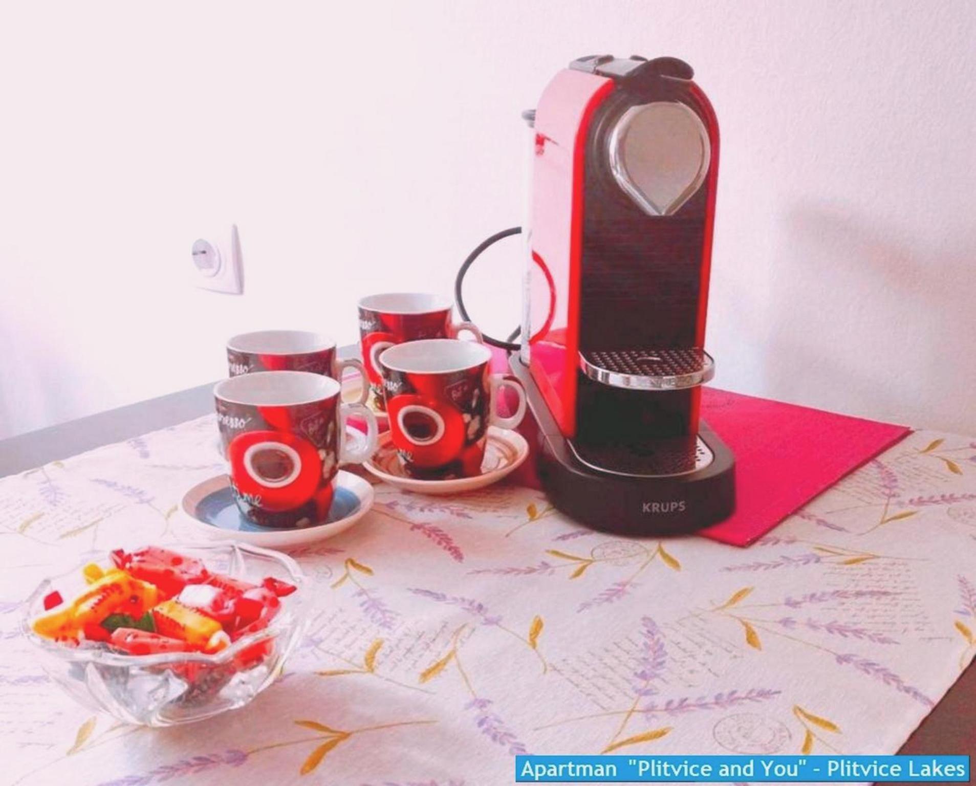 Apartman "Plitvice And You" Plitvička Jezera Zewnętrze zdjęcie